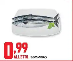 Pam Sgombro offerta