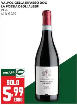 Panorama La Poesia degli Alberi Valpolicella Ripasso offerta