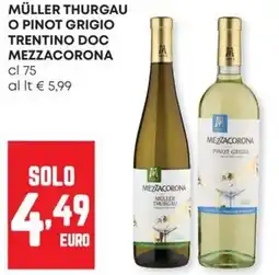 Panorama Müller thurgau o pinot grigio trentino doc mezzacorona offerta