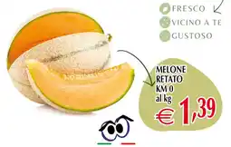 Centro Oceano Melone retato offerta