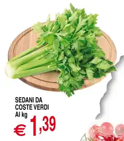 Centro Oceano Sedani da coste verdi offerta