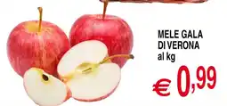 Centro Oceano Mele Gala di Verona offerta