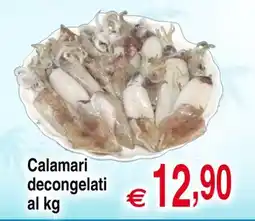 Centro Oceano Calamari decongelati offerta