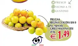 Centro Oceano Prugna Regina Claudia offerta