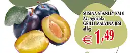 Centro Oceano Susina Stanley offerta
