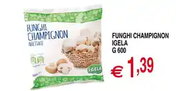 Centro Oceano Funghi champignon igela offerta