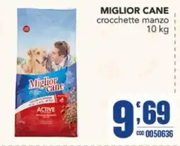 Gruppo di Palo Miglior cane crocchette manzo offerta