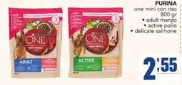 Gruppo di Palo Purina One mini con riso offerta
