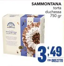 Gruppo di Palo Sammontana torta duchessa offerta