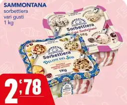 Gruppo di Palo Sammontana sorbettiera vari gusti offerta