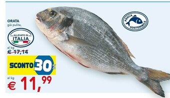 Esselunga Orata offerta