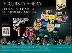 Eurospar Sheba Filets offerta