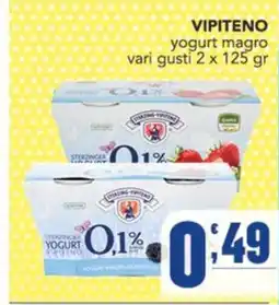 Gruppo di Palo Yogurt magro Vipiteno offerta