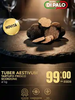 Gruppo di Palo Tuber aestivum Tartufo fresco Scorzone offerta