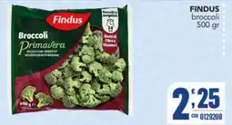 Gruppo di Palo Findus Broccoli Primavera offerta