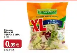Docks Cash&Carry Insalata Mista XL Terra & Vita offerta