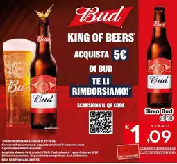 Eurospar Birra Bud offerta