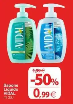 Docks Cash&Carry Sapone Liquido VIDAL offerta