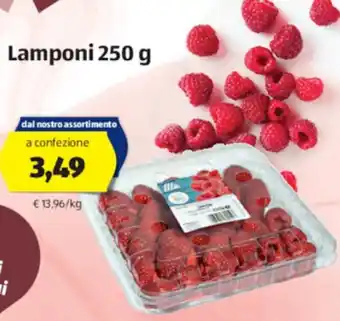 ALDI Lamponi 250g offerta