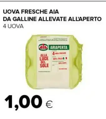 Tigre Uova fresche da galline allevate all'aperto offerta