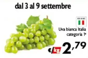 Uva bianca Italia categoria 1*
