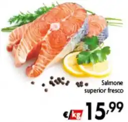 Spak Supermercati Salmone superior fresco offerta