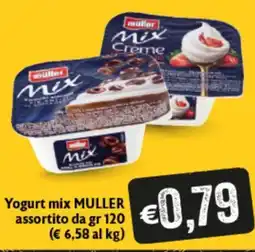 Spak Supermercati Yogurt mix MULLER offerta