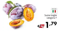 Maxi Family Susine lunghe categoria 1ª offerta