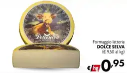 Maxi Family Formaggio lattiera Dolce Selva offerta