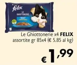 Maxi Family Le Ghiottonerie FELIX offerta