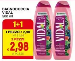 Il Gigante Bagnodoccia Vidal offerta