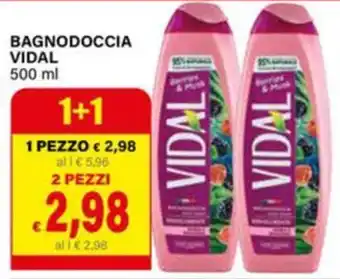 Bagnodoccia Vidal