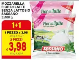 Il Gigante Mozzarella fior di latte senza lattosio Sassano offerta