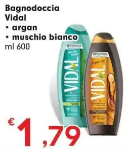 DeSpar Express Bagnodoccia Vidal offerta