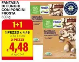 Il Gigante Fantasia di funghi con porcini Frosta offerta