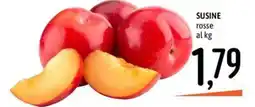 Emisfero Susine rosse offerta