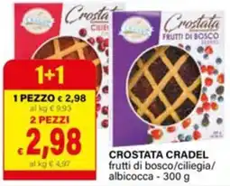 Il Gigante Crostata CraDEL offerta