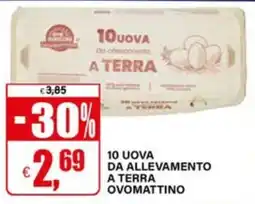 Il Gigante 10 uova da allevamento a terra ovomattino offerta