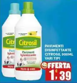 Maury's Citrosil Pavimenti Igienizzante offerta