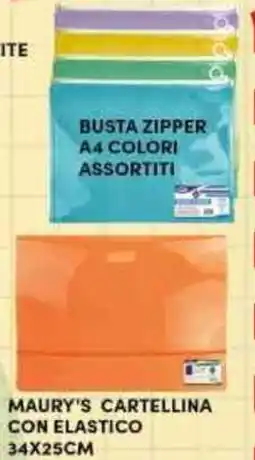 Maury's Busta zipper a4 colori assortiti offerta