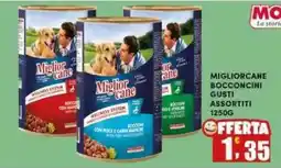 Maury's Miglior cane Bocconcini offerta