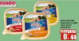 Maury's Miglior cane offerta