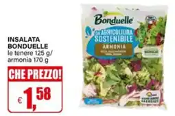 Il Gigante Insalata Bonduelle armonia offerta