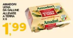 Quick Sisa Uova da galline allevate a terra Amadori offerta
