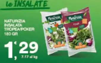 Naturizia insalata tropea/poker
