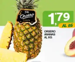 Quick Sisa Orsero ananas offerta