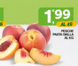 Quick Sisa Pesche pasta gialla offerta