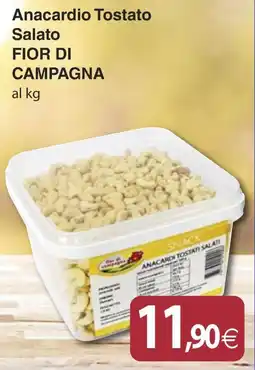 Docks Cash&Carry Anacardio Tostato Salato Fior di Campagna offerta