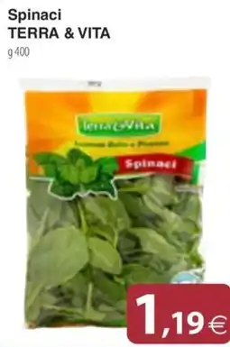 Docks Cash&Carry Spinaci Terra & Vita offerta