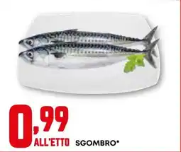 Kanguro Sgombro* offerta